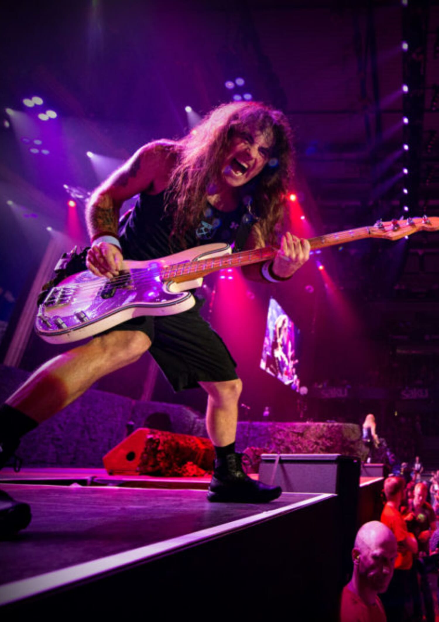 TONE OF THE BEAST - Tech 21's Steve Harris SH1 Signature SansAmp